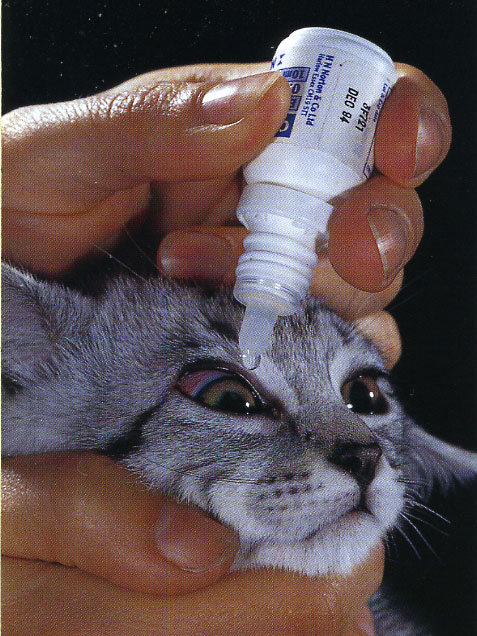 treatment