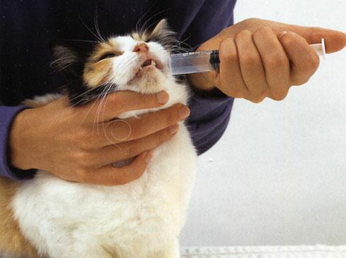 treatment